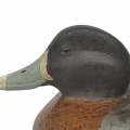 Appelant de chasse, canard décoratif signé Léo Chagnon  - 2