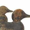 Appelants de chasse, canards décoratifs, Mason factory - 3