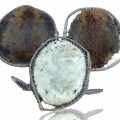 Decorative beaver skins - 2
