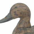 Wooden duck hunting decoy  - 2