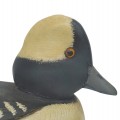 Wooden duck hunting decoy by Raymond Berthiaume  - 3
