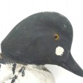 Canard décoratif, appelant de chasse par Raymond Berthiaume  - 3
