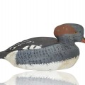 Wooden duck hunting decoy by Raymond Berthiaume from Sorel  - 1