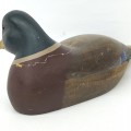 Hand-carved mallard wooden duck  - 4