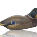 Hand-carved mallard wooden duck  - 1
