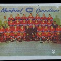 Montreal Canadiens hockey puzzle, 2 pieces missing - 4