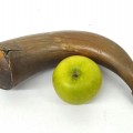 Gun powder horn  - 3