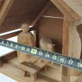 Hand-carved nativity, natural wood - 5