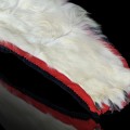 Taxidermy polar bear skin - 4
