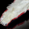 Taxidermy polar bear skin - 5