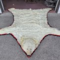 Taxidermy polar bear skin - 8