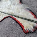 Exceptionnelle peau d'ours polaire empaillée (10 pieds x 9) taxidermie  - 5