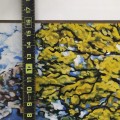 Giclée (imprimé) d'huile sur toile de Marc-Aurèle Fortin, peinture, print - 2