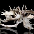 Moose antlers lighting rack - 3