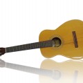 Vintage Harmony classic guitar - 1
