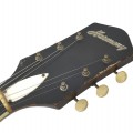 Guitare des années 1960, Harmony H74 Meteor - 5