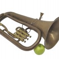 Tuba music brass instrument  - 2