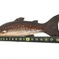 Wooden carved trout, folk art sculpture, carving  - 2