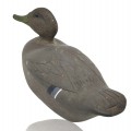 Leurre de chasse, appelant, canard de bois  - 3
