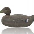 Leurre de chasse, appelant, canard de bois  - 1