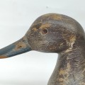 Vintage duck hunting decoy by Paul-Émile Lacombe  - 2