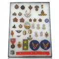 Lot de badges et médailles militaire, militaria  - 1