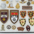 Lot d'anciennes badges et médailles militaires, militaria  - 2