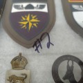 Lot d'anciennes badges et médailles militaires, militaria  - 4