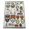 Lot d'anciennes badges et médailles militaires, militaria  - 1