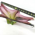 Blown glass vase, dishes  - 4
