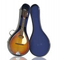 Mandoline Stella Harmony mandolin - 1
