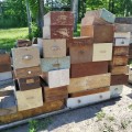 Lot of antique wooden drawers - 3