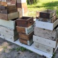 Lot of antique wooden drawers - 4
