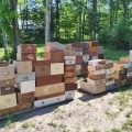 Lot of antique wooden drawers - 1