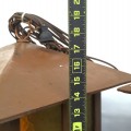 Paire de luminaires en bois, lampes suspendues - 4