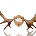 Decorative wall moose antler  - 1