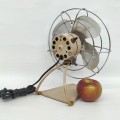 Little Torcan fan  - 2