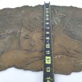 Wall bronze plate work of art - 3