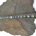 Wall bronze plate work of art - 4