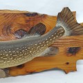 Vintage stuffed fish, taxidermy - 3