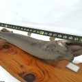 Vintage stuffed fish, taxidermy - 4