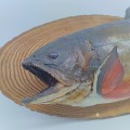 Vintage taxidermy fish on wood plaque, taxidermy - 2