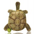 Toutou Steiff, peluche tortue  - 4