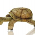Toutou Steiff, peluche tortue  - 1