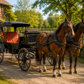 Antique hoses carriage  - 2