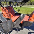 Antique hoses carriage  - 3