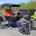 Antique hoses carriage  - 6