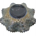 Good luck carnival glass - 3