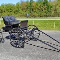 Voiture à cheval, calèche, buggy à chevaux  - 2