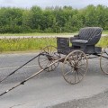 Voiture à cheval, calèche, carriole à chevaux, buggy - 2